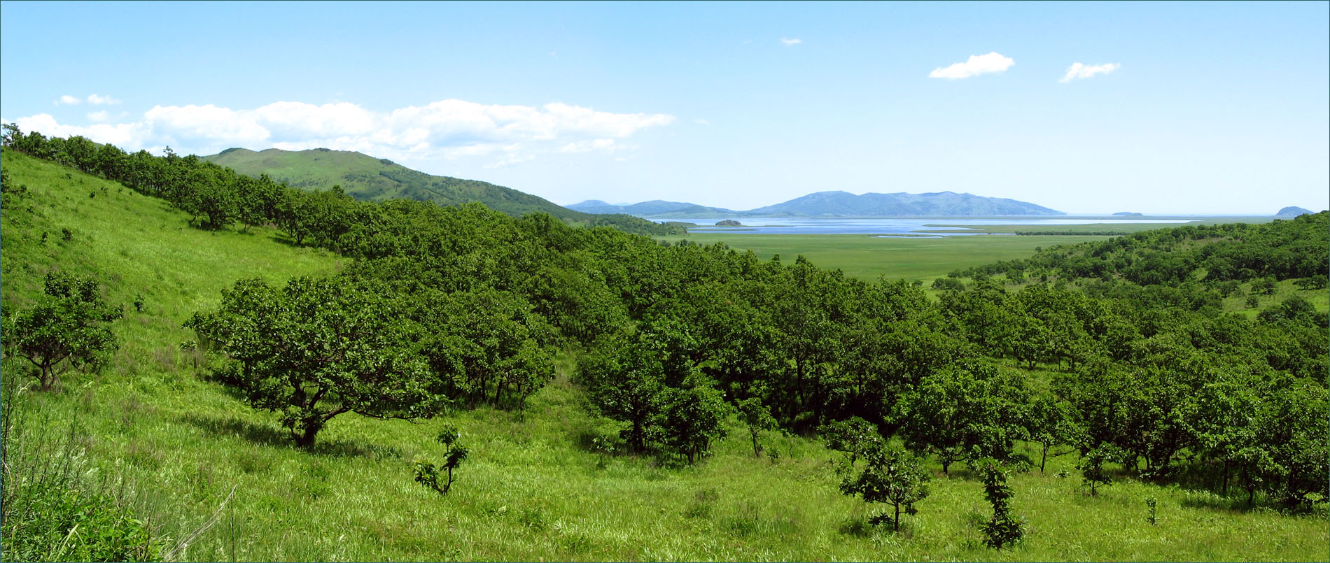 Дальний Восток Село Раздольное Знакомства