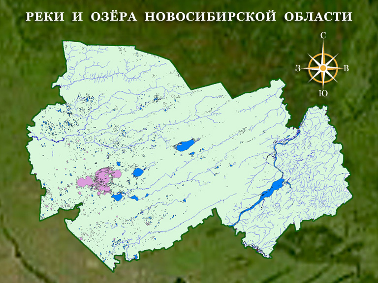 Реферат: Новосибирская область