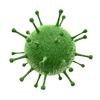   (Mixovirus influenzae)    .       80-120 .