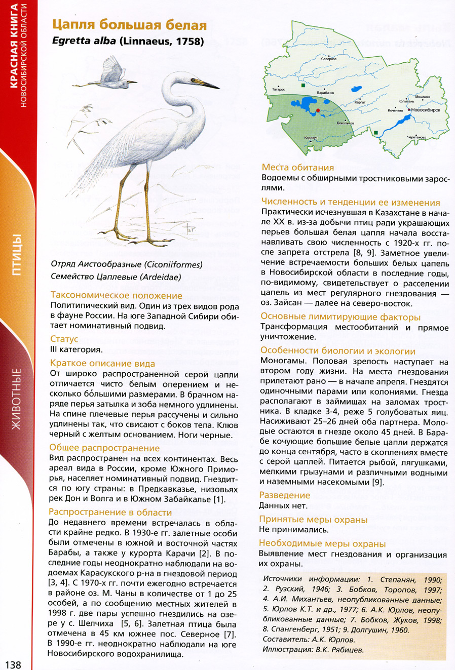 Красная книга НСО - 2008 | Большая белая цапля – Egretta alba