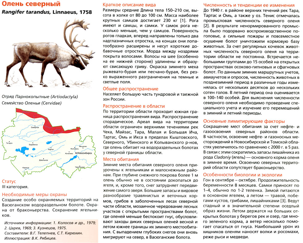 Северный олень условия обитания. Животные красная книга Новосибирской области Северный олень. Красная книга Новосибирской Северный олень. Животное красной книги Новосибирской области. Красная книга Новосибирской области список млекопитающие.