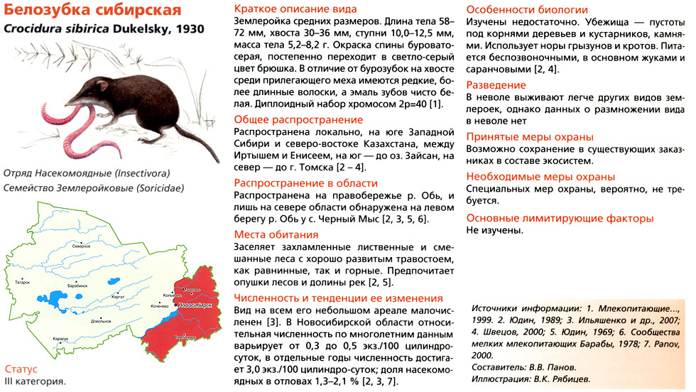 Птицы НСО, занесенные в Красную книгу - биология, презентации