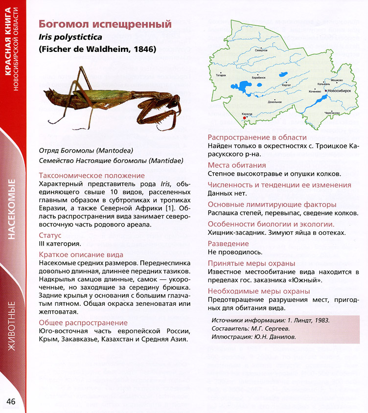 Богомолов красное. Насекомые красной книги Новосибирской области. Богомол красная книга. Насекомые из красной книги России богомол. Багомолы занесинесини в красную книгу.