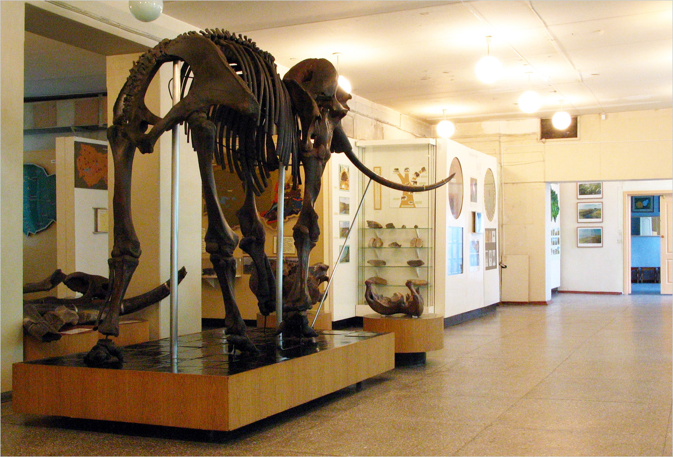 Музей в новосибирске