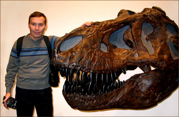 Череп вымершего динозавра Tyrannosaurus rex. Музей Природы. Германия, Франкфурт-на-Майне